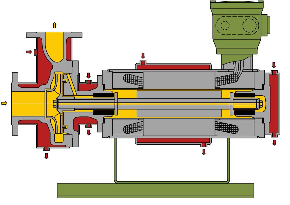 Насос бэн. Насос ЦГ 12.5/50 конструкция. Ротор герметичного насоса. Насос 2цг 2550. Насос ПНВГ-61.